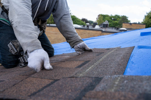 Best Roof Gutter Cleaning  in Marble Hill, MO